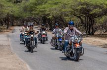 Harley-Davidson Guided Island Tours