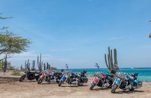 Harley-Davidson Guided Island Tours