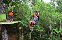 Amazing Shared ATV Experience only From Cancun