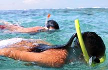 Catamaran Snorkel and Dolphin Watch Tour in Panama City Beach