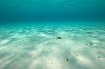 Bavarian Fiesta Snorkel Activity in Glass Bottom Boat at San Miguel de Cozumel