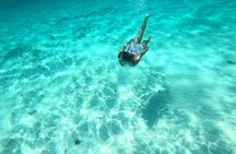 Bavarian Fiesta Snorkel Activity in Glass Bottom Boat at San Miguel de Cozumel