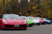 3 Hour Exotic car Tour driving 4 to 5 Super cars