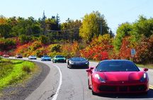 3 Hour Exotic car Tour driving 4 to 5 Super cars