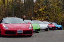 6 Hour Exotic Car Tour driving 6 Super cars + Lunch