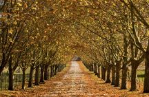 Southern Highlands Private Tour with Wine, Waterfall and Garden