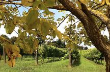 Southern Highlands Private Tour with Wine, Waterfall and Garden