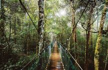 O'Reilly's & Lamington National Park from Gold Coast