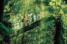 O'Reilly's & Lamington National Park from Gold Coast