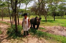 Day safari to Olpejeta Rhino conservancy