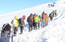 Mountain Kilimanjaro Climbing 8 Days Lemosho Route