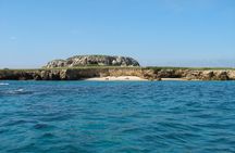 Marietas Islands Eco Discovery Snorkeling Adventure