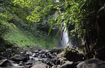 Full Day Tour with Safari Float, Waterfall and Volcano Hike