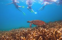Great Keppel Island Day Trip with Lunch