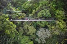 Hanging Bridges, Waterfall, Volcano Hike and Tabacon Hot Springs