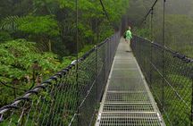 Hanging Bridges, Waterfall, Volcano Hike and Tabacon Hot Springs