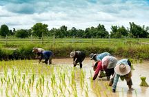 Village Life Tour from Siem Reap