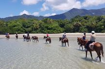 Afternoon Beach Horse Ride in Cape Tribulation