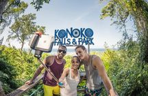 Blue Hole & Konoko Falls Park Combo Tour from Montego Bay