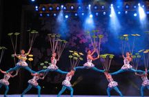 Beijing night tour including Acrobatics show and Peking duck dinner