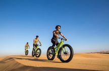 Scenic Desert Tour by Bike