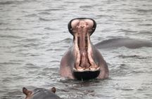 5 day safari Tarangire Serengeti and Ngorongoro crater
