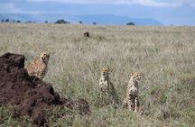 4 Day Serengeti and Ngorongoro crater