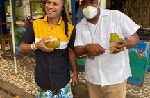 Private Konoko Falls and Dunn's River Combo Tour from Ocho Rios