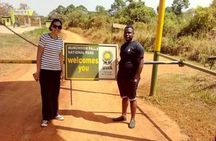 Kampala's walking city Tour Experience 