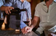 Complete tasting of Castello di Bossi