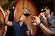 Complete tasting of Castello di Bossi