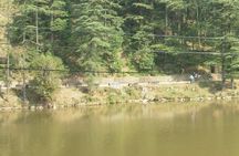Day Tour of Dharamshala, home to the Dalai Lama