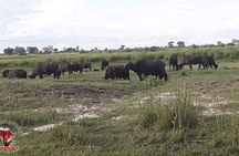 Hwange National Park 3 Days Package