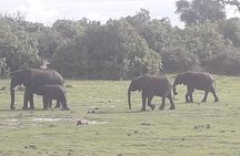 Hwange National Park 3 Days Package