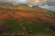 Lahaina: Maui Ku'ia Estate Guided Cacao Farm Tour and Tasting