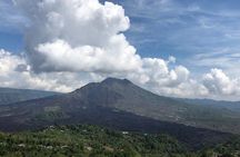 Bali Private Car Charter With English Speaking Driver To Ubud Area