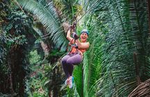 Thrilling Zipline Adventure at Bocawina Rainforest