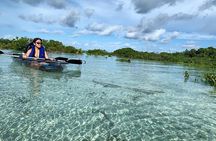 Mangrove Clear Kayak Tour