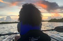 Mangrove Clear Kayak Tour