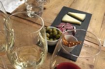 Wine Tasting Experience in Barcelona