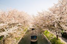 Private One Day Nikko Tour with Bilingual driver