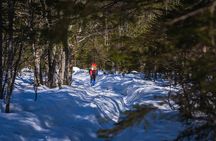 Triglav winter edition