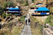 Ghorepani Poonhill Trek from Kathmandu | Best Short Trek in Nepal
