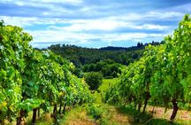 Bike Ride & WIne Tasting