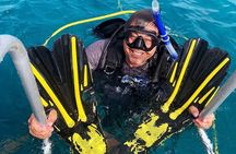 Try Scuba Diving in Key Largo — Small Group, Max 4 Students