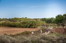 Otranto and Surroundings Full-Day Bike Tour