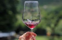 Bike Ride & WIne Tasting
