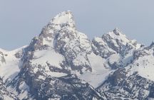 Grand Teton Winter Wildlife Tour