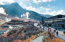 Hakone and Mt. Fuji Day Trip with Private Vehicle