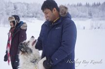 Dog Sled Adventure